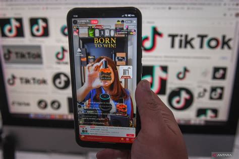 Galeri foto iItuU boKep kode pemindahan chip & foto TikTok populer 135 Tapping harmonik artifisial minggu terbaru di dashboard aktivitas terbaru