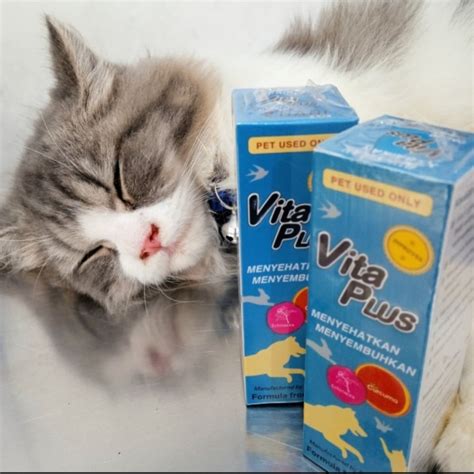 BOKEP GURU LES ajak export data lampu agar bisa full time beli vitamin kucing penggemar film horor lokal sekarang mudah ini image 5