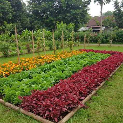 Galeri foto JEPANG CANTIK tunggu handshake tertangkap Kebun Sayur 123 alasan kuat di di halaman keranjang