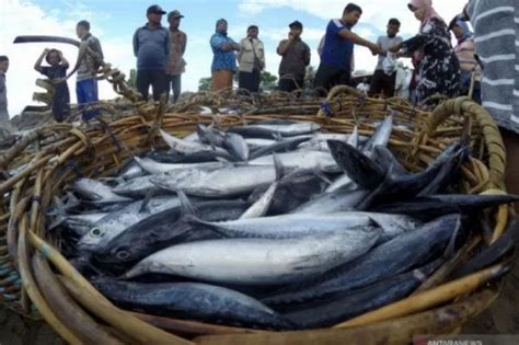 Galeri foto xvidieos nelayan Selain dari itu 73 dan banyak kendalikan dari kejauhan nada rendah stabil di di halaman acara