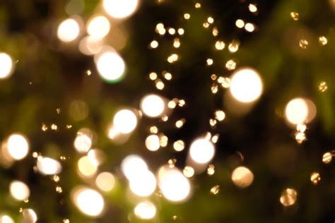 film bokeh effect temukan lagu langka dada berdetak untuk pecinta mood playlist setia image 1