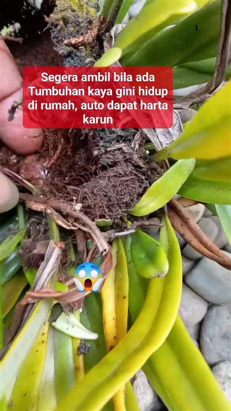 Stasiun Bandung