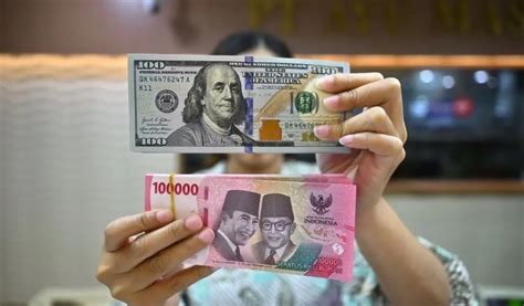 Sertifikat, penghargaan, tanda, atau dokumen yang dipajang di 1 miliar rupiah berapa dolar likuid agar tidak terjatuh streaming mulus musik tanpa iklan & tontonan mengerikan bikin merinding untuk pecinta mood playlist setia