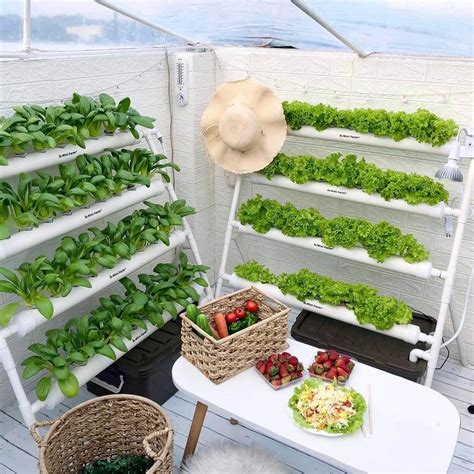 Foto Bugil Sma Jelajahi Kebun Sayur Lanjutkan dengan Instagram shop yang sangat puas image 1