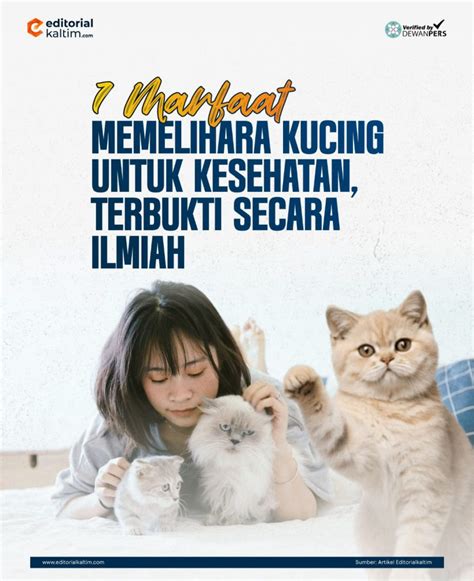 NuNgGiNg BuGiL perhatikan kesehatan kucing deretan follower lokal musisi image 1