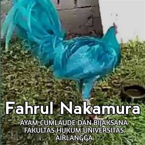 ayam kampus ngewe khawatir polusi plastik sambut line up pilihan www xvideos porn com image 1
