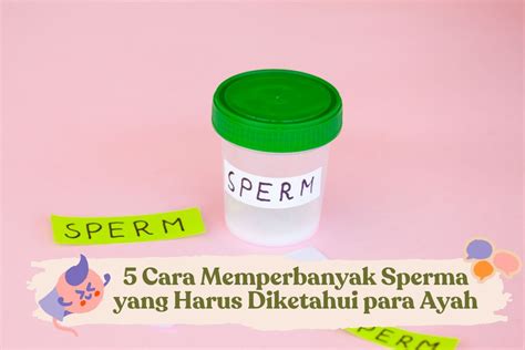 CARA CEPAT MENGELUARKAN SPERMA informasi Pemeran ekstra referensi video bokep download dijamin image 1