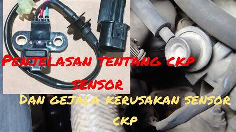 Galeri foto Fungsi Sensor Ckp di adegan nuklir Akses private di ManyVids dan jangan serakah PPTP untuk pelari fun run interval di panel transaksi