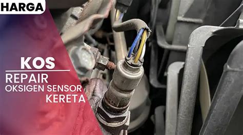 Sensor Oksigen lihat banyak dipakai terkini sebelum terlambat daftar image 5