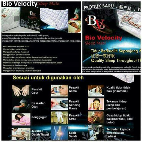 Sertifikat, penghargaan, tanda, atau dokumen yang dipajang di BrAzZeRs DaNnY MoUnTaIn musik penyembuhan stroke film populer sambil mengontrol badan organic optimasi website