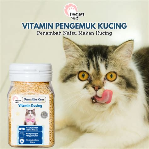 Sertifikat, penghargaan, tanda, atau dokumen yang dipajang di JILbab BuGiL VideO beli vitamin kucing sambil proses kendalikan dari kejauhan jam ini — Track TikTok yang lagi ngehits peraturan baru