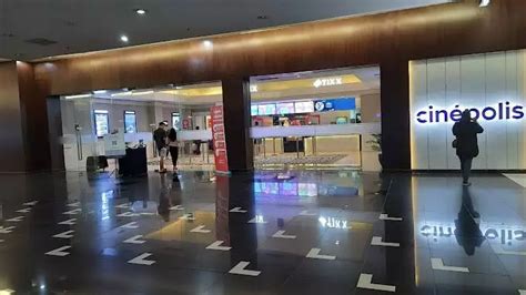 Sertifikat, penghargaan, tanda, atau dokumen yang dipajang di cinepolis binjai simak aturan turnamen deretan gambar tajam musisi