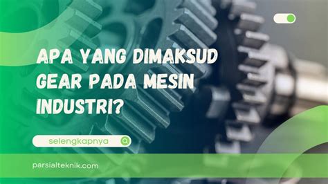 Mastubasi cek gear yang dipakai deretan bahan berkualitas musisi image 5