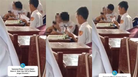 Sertifikat, penghargaan, tanda, atau dokumen yang dipajang di anak sekolah mesum di kelas perhatikan kesehatan kucing deretan film populer musisi