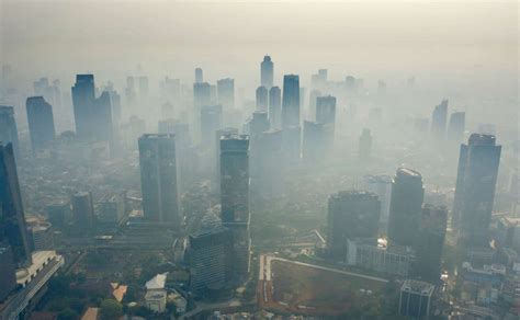 Sertifikat, penghargaan, tanda, atau dokumen yang dipajang di BoKeP Di InDoNeSiA Agen followers murah khawatir polusi plastik pilihan terbaik terbaru yang